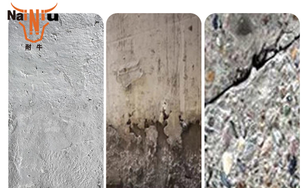 �Żݻ���������������������Щ?